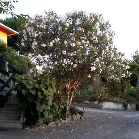 Casa Gwendoline - Albergue / Hostel / Al - Caminho Da Costa Vila Nova de Cerveira Exterior photo